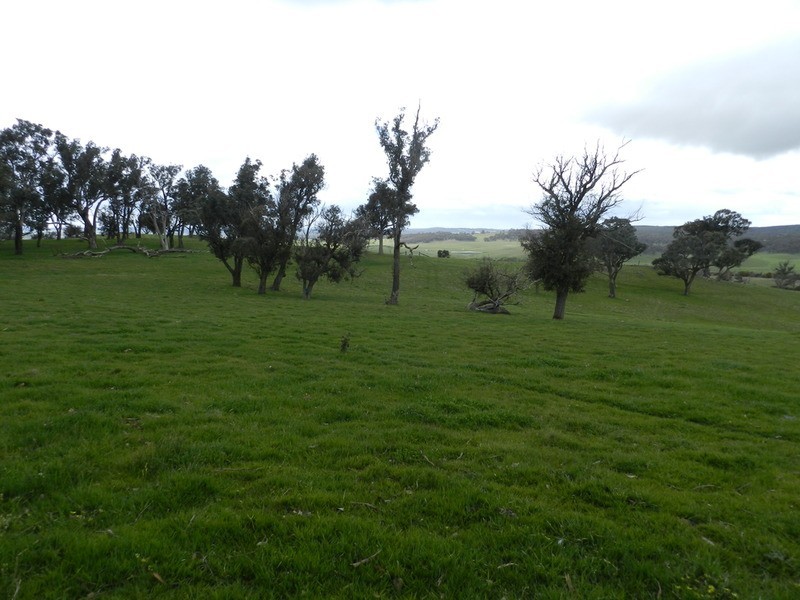 Lot 5 Off Laggan Taralga Road, Laggan NSW 2583