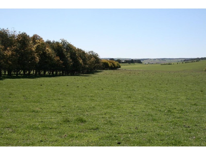 Lot 5 Off Laggan Taralga Road, Laggan NSW 2583