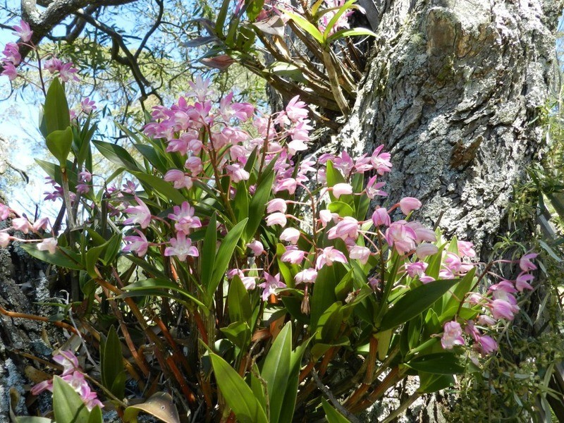 755 Langs  Road, Wombeyan Caves NSW 2580