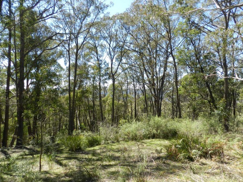 755 Langs  Road, Wombeyan Caves NSW 2580