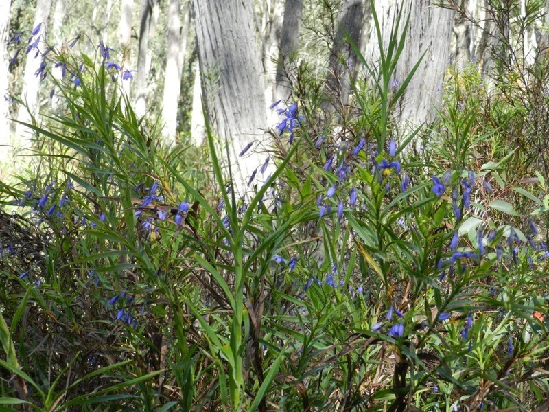 755 Langs  Road, Wombeyan Caves NSW 2580