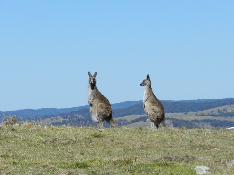 755 Langs  Road, Wombeyan Caves NSW 2580