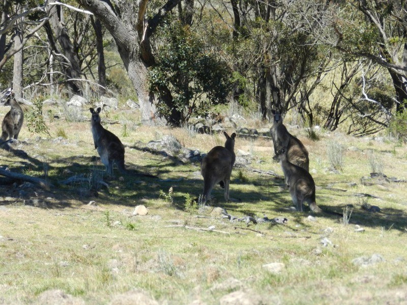 755 Langs  Road, Wombeyan Caves NSW 2580