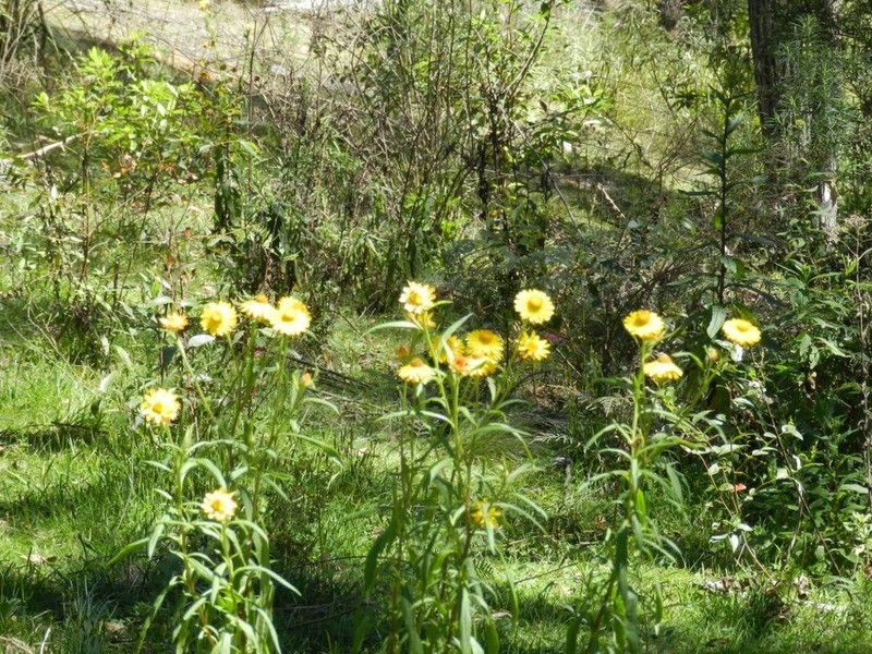 755 Langs  Road, Wombeyan Caves NSW 2580