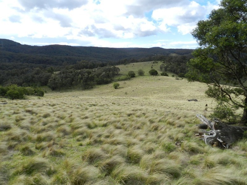 981  Mares Forest Road, Wombeyan Caves NSW 2580