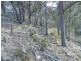 981  Mares Forest Road, Wombeyan Caves NSW 2580