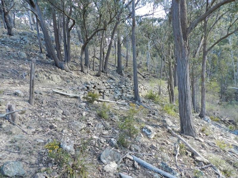 981  Mares Forest Road, Wombeyan Caves NSW 2580