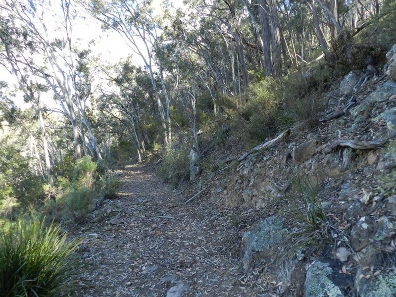 981  Mares Forest Road, Wombeyan Caves NSW 2580