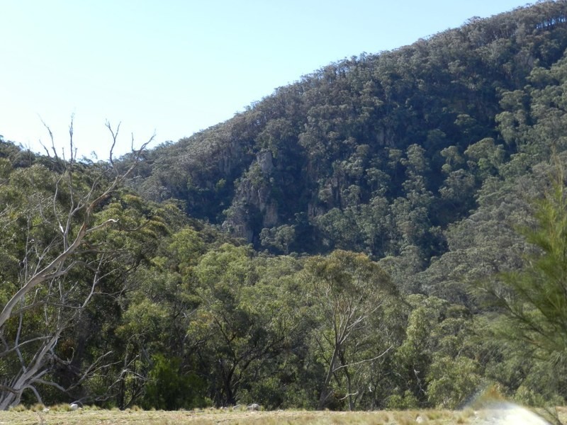 981  Mares Forest Road, Wombeyan Caves NSW 2580