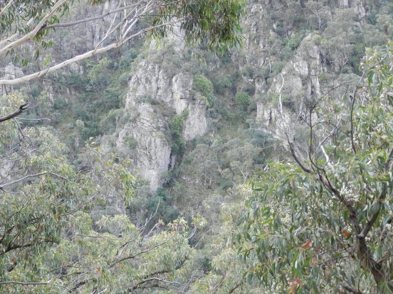 981  Mares Forest Road, Wombeyan Caves NSW 2580