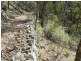 981  Mares Forest Road, Wombeyan Caves NSW 2580