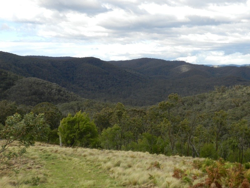 981  Mares Forest Road, Wombeyan Caves NSW 2580