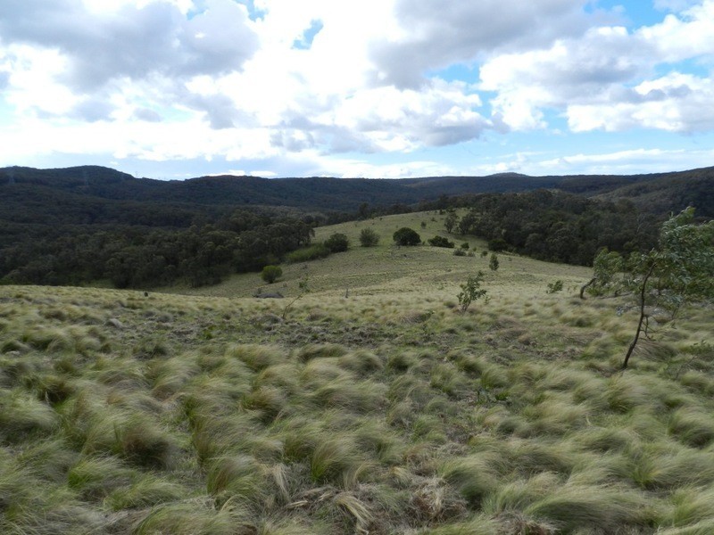 981  Mares Forest Road, Wombeyan Caves NSW 2580
