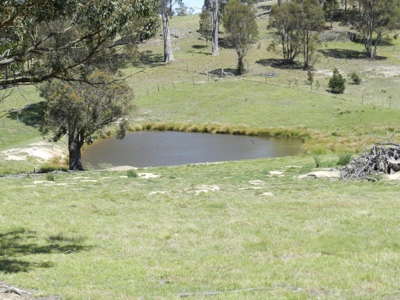 4873 Oallen Ford Road, Bungonia NSW 2580