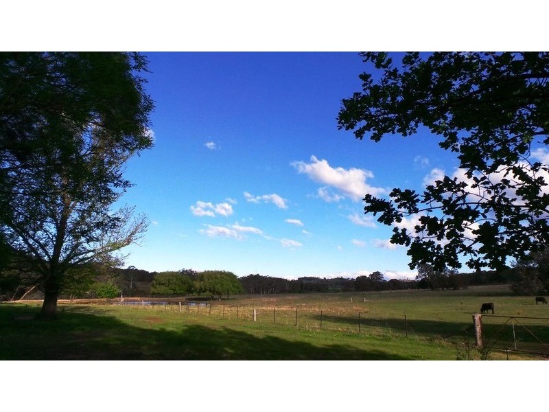 338 Bulls Pit  Road, Brayton NSW 2579