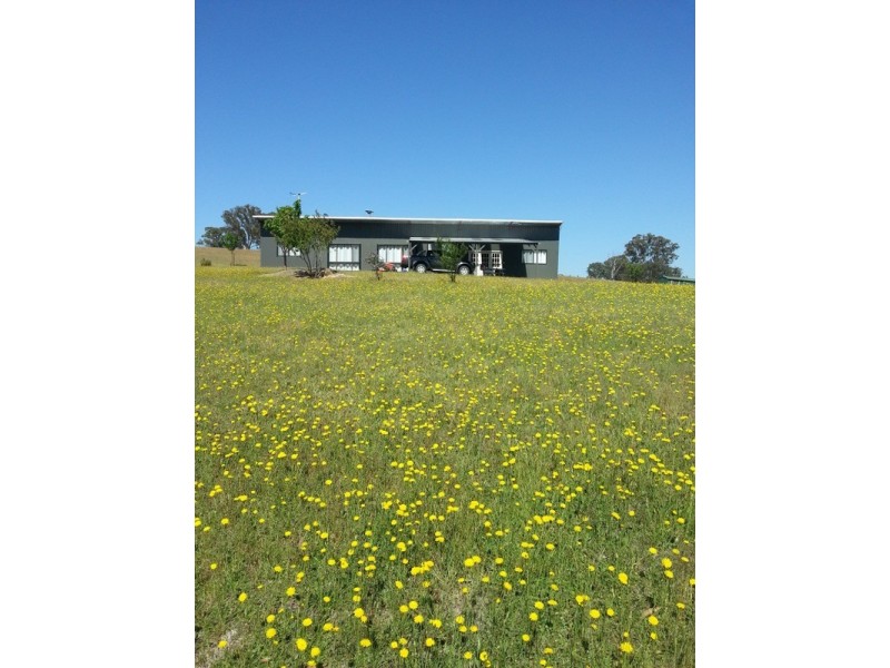 238 Hogan Road, Fullerton NSW 2583