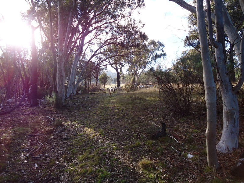 238 Hogan Road, Fullerton NSW 2583