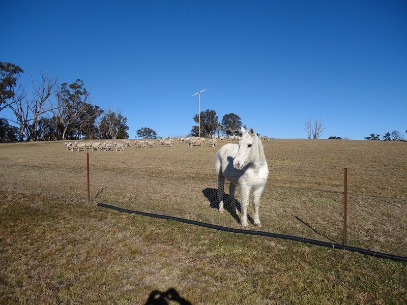 238 Hogan Road, Fullerton NSW 2583