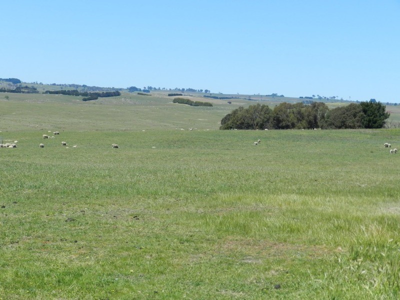 3315 Golspie Road, Laggan NSW 2583