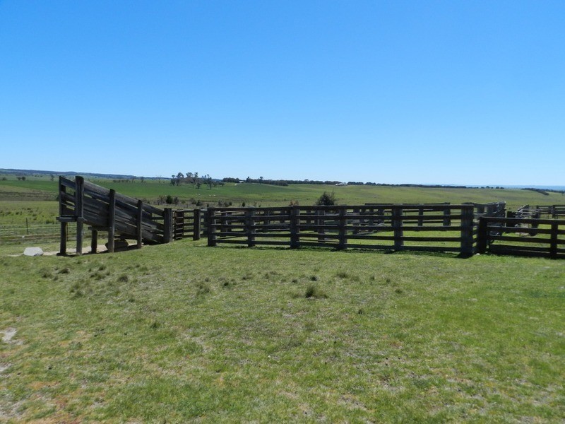 3315 Golspie Road, Laggan NSW 2583