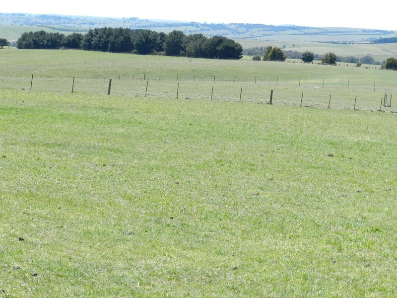 3315 Golspie Road, Laggan NSW 2583