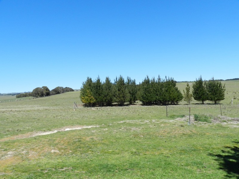 3315 Golspie Road, Laggan NSW 2583