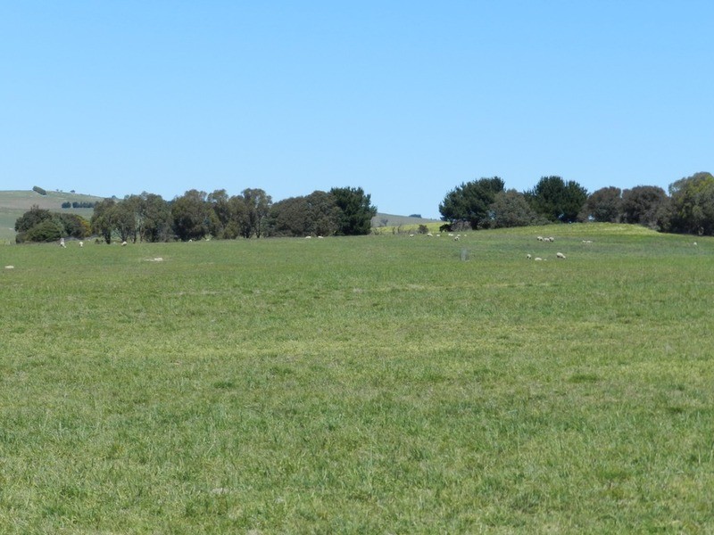 3315 Golspie Road, Laggan NSW 2583