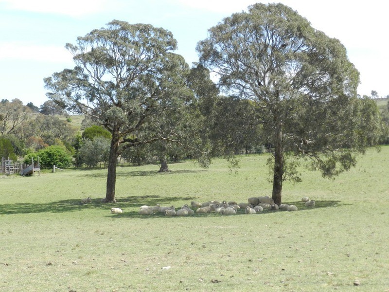 190 Marble Hill Road, Kingsdale NSW 2580