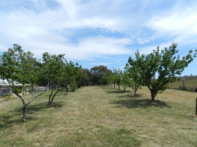 190 Marble Hill Road, Kingsdale NSW 2580