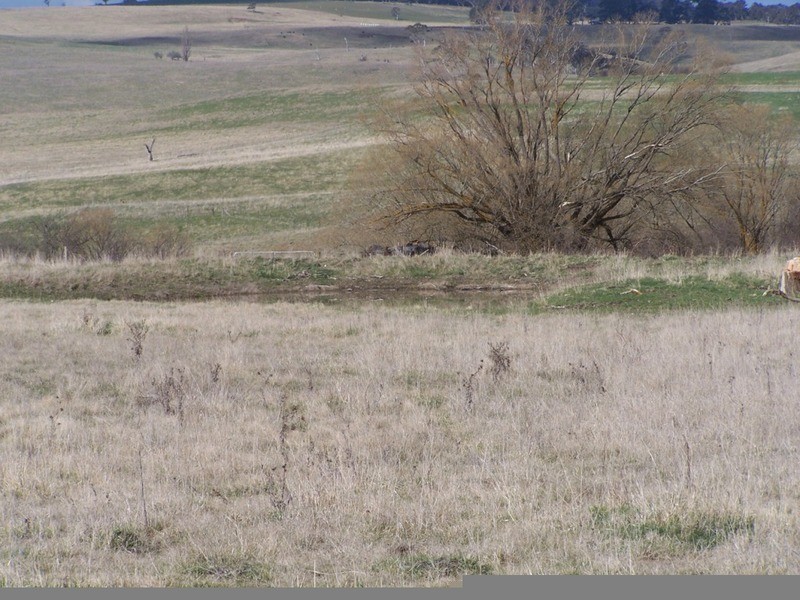 101 & 102 Hill Street, Taralga NSW 2580