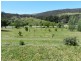 Lot 3 Bathurst Street, Tuena NSW 2583