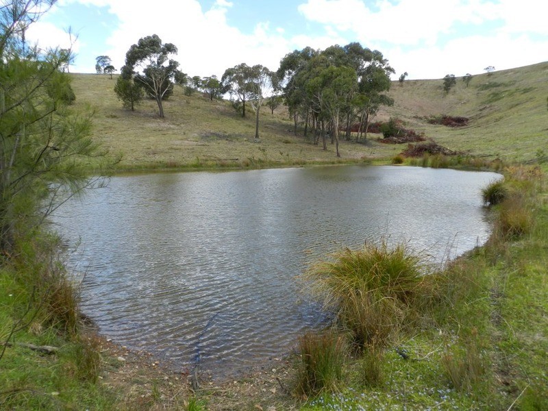 1641 Towrang Road, Greenwich Park NSW 2580