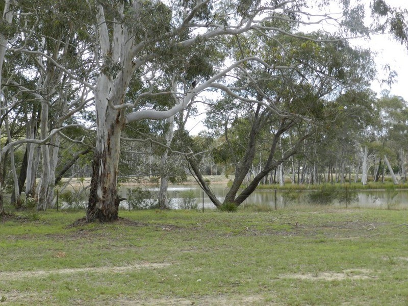 60 Scribbly Gum Avenue, Tallong NSW 2579