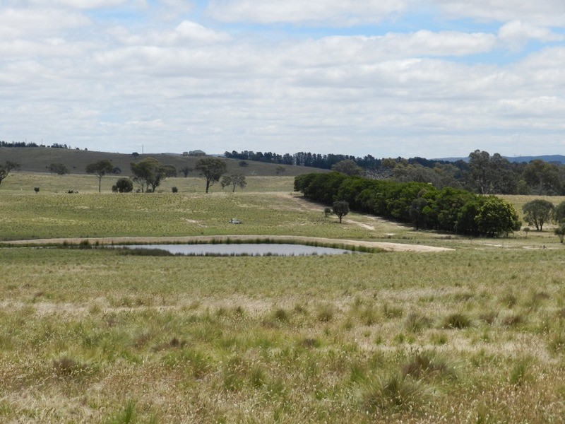 1011 Lade Vale Road, Gunning NSW 2581 Professionals Goulburn Withdrawn