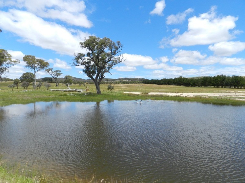 1011 Lade Vale Road, Gunning NSW 2581