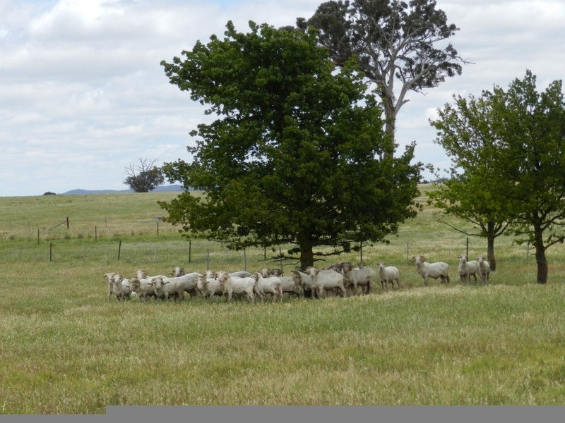 1011 Lade Vale Road, Gunning NSW 2581