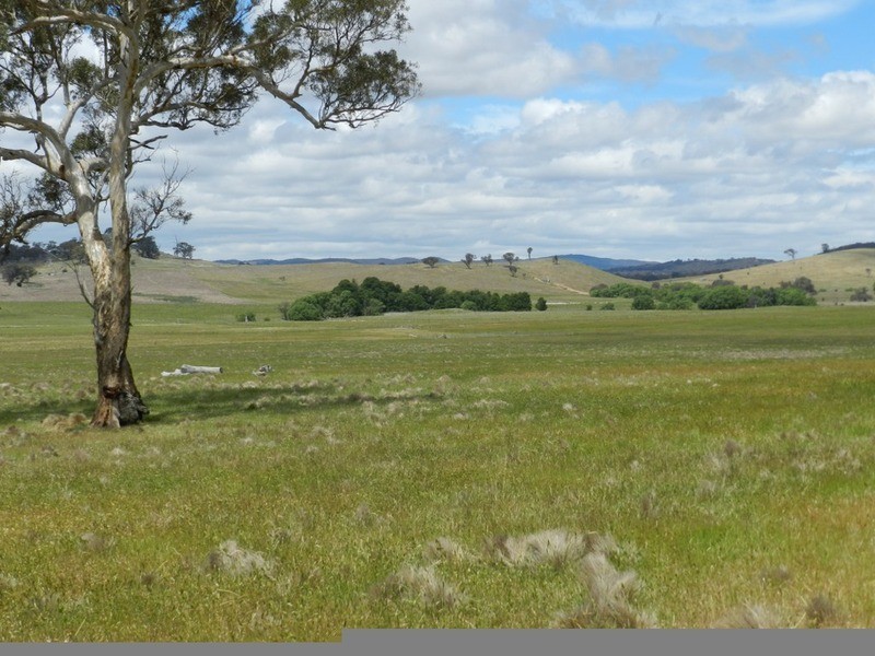 1011 Lade Vale Road, Gunning NSW 2581