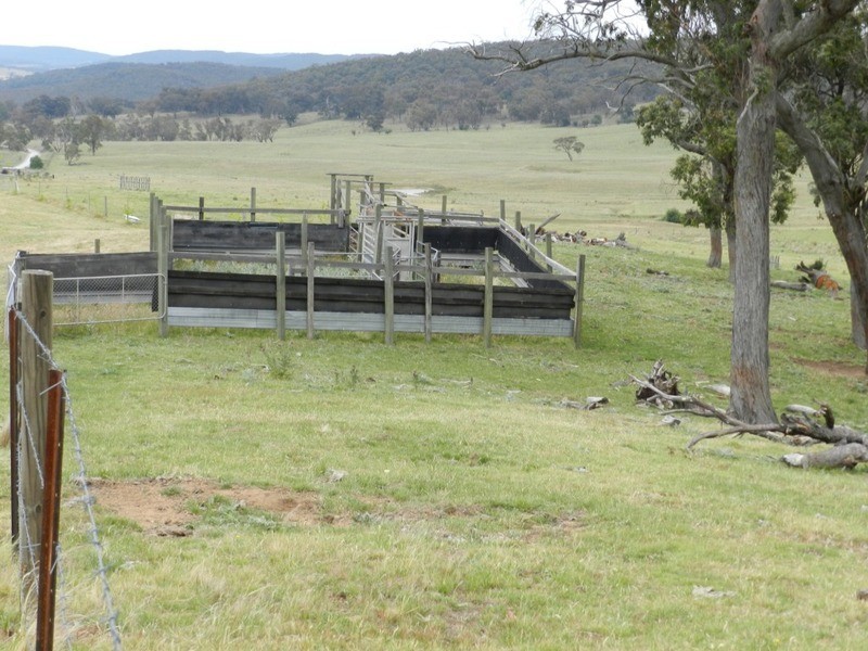693 Rhyanna Road, Goulburn NSW 2580
