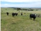 693 Rhyanna Road, Goulburn NSW 2580