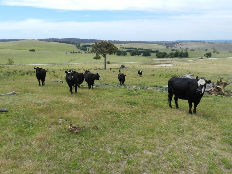 693 Rhyanna Road, Goulburn NSW 2580