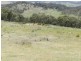 693 Rhyanna Road, Goulburn NSW 2580