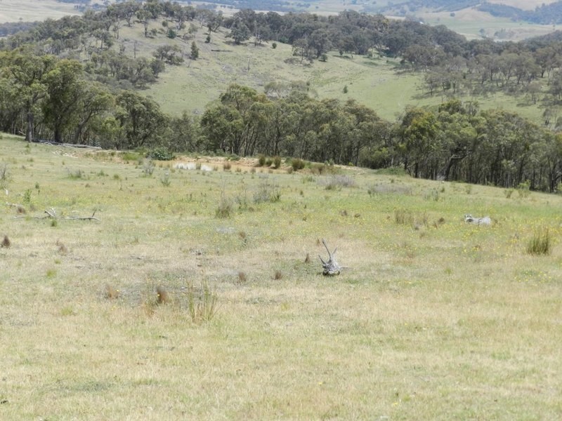 693 Rhyanna Road, Goulburn NSW 2580