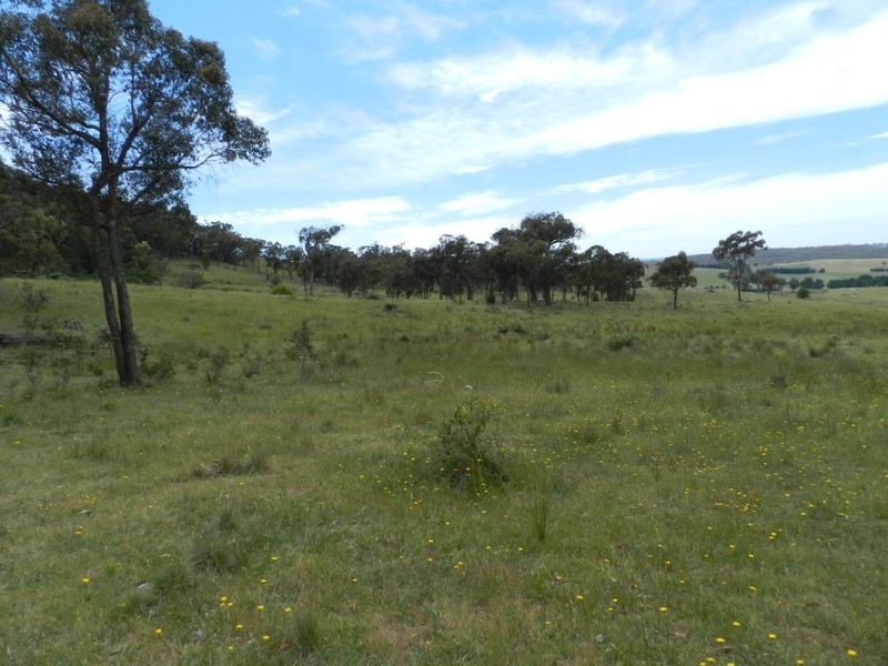 693 Rhyanna Road, Goulburn NSW 2580