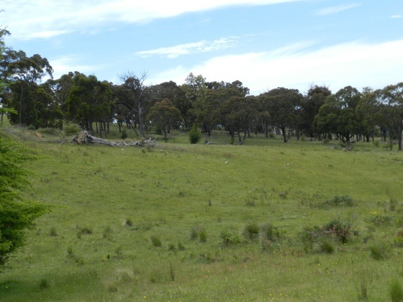 693 Rhyanna Road, Goulburn NSW 2580