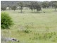693 Rhyanna Road, Goulburn NSW 2580