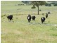 693 Rhyanna Road, Goulburn NSW 2580