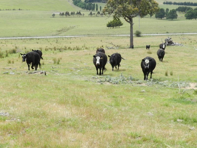 693 Rhyanna Road, Goulburn NSW 2580