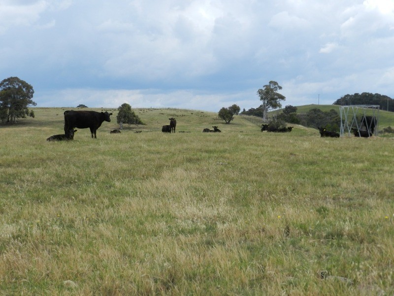 787 Crookwell Road, Goulburn NSW 2580