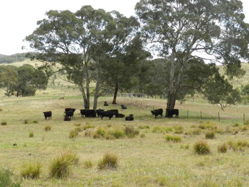 787 Crookwell Road, Goulburn NSW 2580