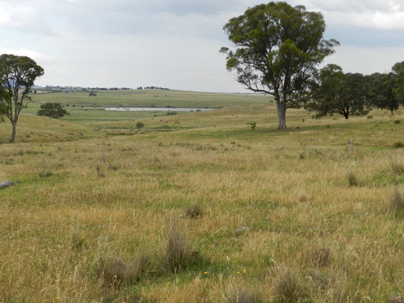 787 Crookwell Road, Goulburn NSW 2580